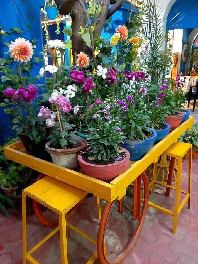 The Coral House Homestay By The Taj Agra  Εξωτερικό φωτογραφία