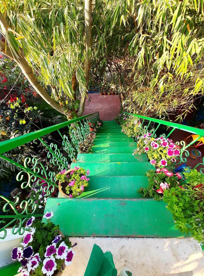 The Coral House Homestay By The Taj Agra  Εξωτερικό φωτογραφία