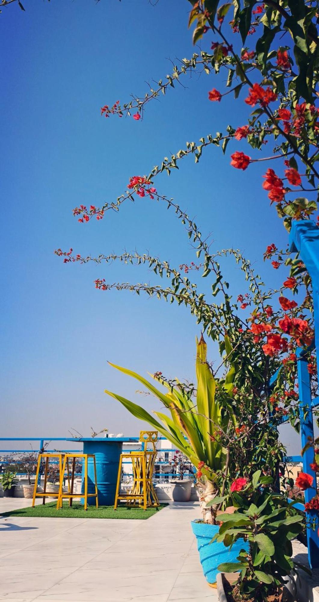 The Coral House Homestay By The Taj Agra  Εξωτερικό φωτογραφία